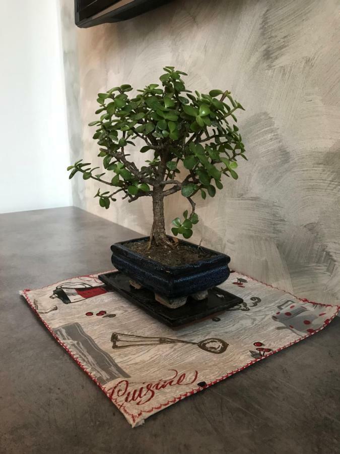 Accogliente Bilocale Appartement Milaan Buitenkant foto